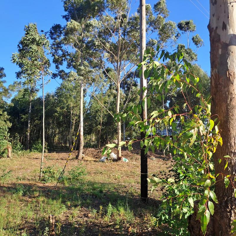 0 Bedroom Property for Sale in Van Stadens Eastern Cape